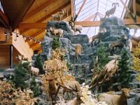 photos 2000-200901021